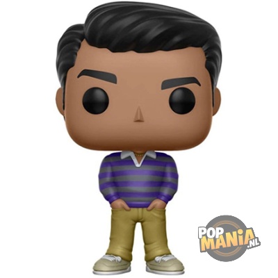 Funko Pop Silicon Valley Dinesh 433 vinyl figuur
